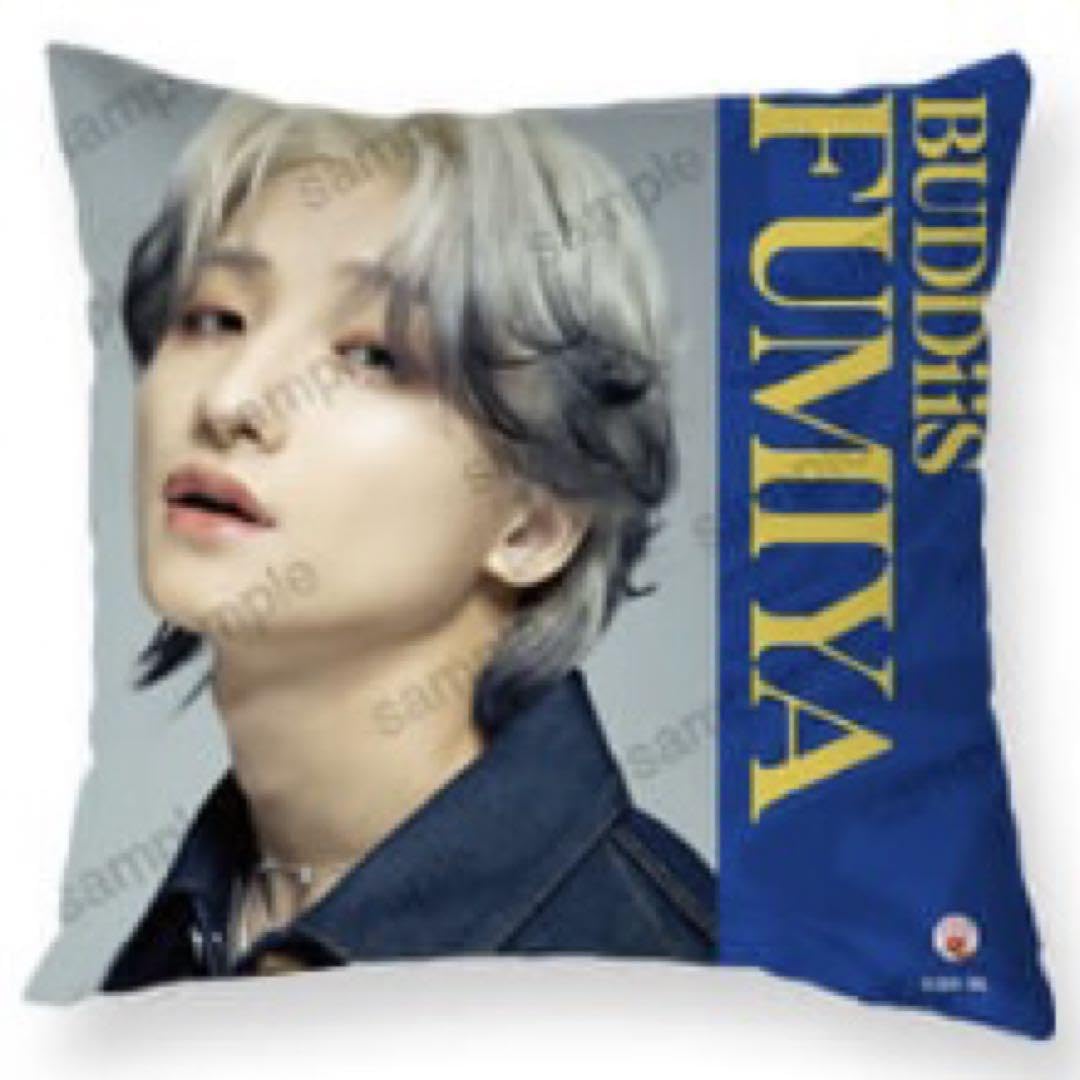 BUDDiiS FUMIYA クッション Amazon.co.jp: BUDDiiS FUMIYA クッション : ホーム＆キッチン